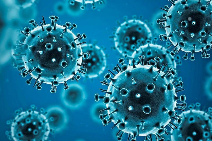 Правовые акты Ленинградской области, принятые в целях реализации мер по противодействию распространения коронавируса.