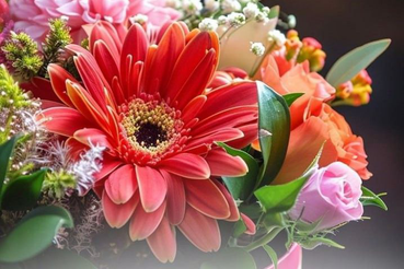 Поздравляем с днём рождения ведущего специалиста по кадрам ГБУ ЛО «ЦСПВВС» Ирину Валерьевну Юшину!